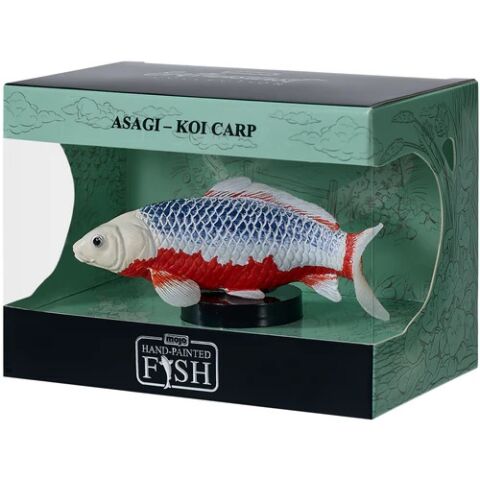 Mojo Kapor koi asagi v krabičke